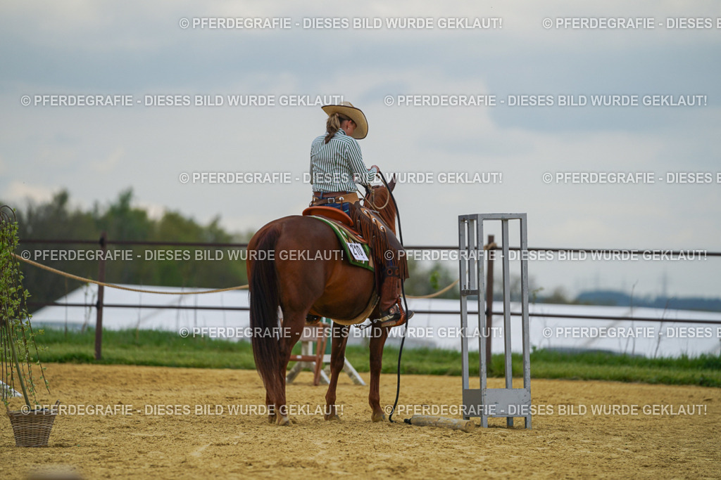 DSC06887 | Pferdegrafie