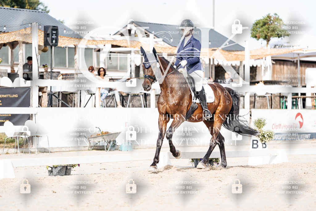 CK905074 | Turnierfotografie Pferdefotografie Trier Rheinland-Pfalz Pferdesport Reitsport Tierfotografie Sportfotografie Pferdevideo Pferdevideografie Equestrianvideography equestrianphotography  - Realisiert mit Pictrs.com