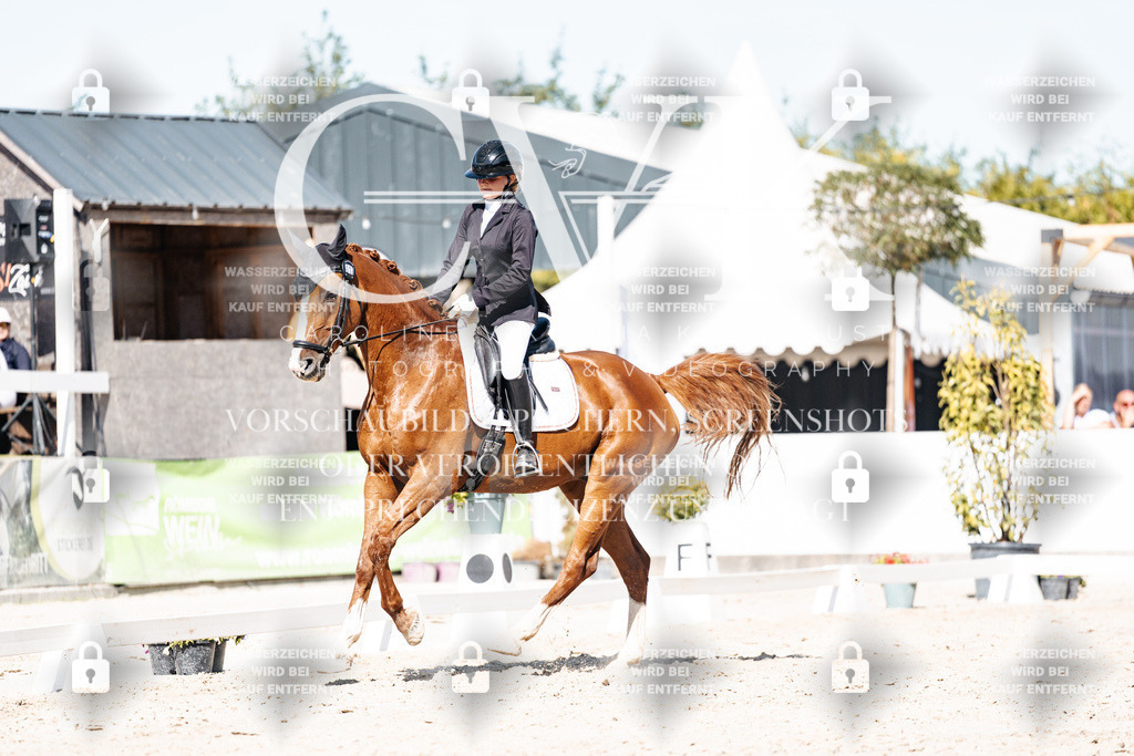 CK908831 | Turnierfotografie Pferdefotografie Trier Rheinland-Pfalz Pferdesport Reitsport Tierfotografie Sportfotografie Pferdevideo Pferdevideografie Equestrianvideography equestrianphotography  - Realisiert mit Pictrs.com