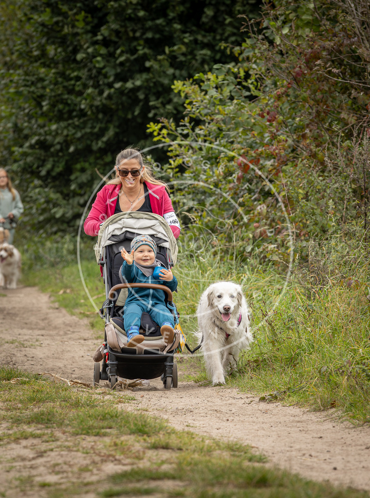Pfotenfotografie_DV3A7619 | Hundefotografie, Tierfotograf, Pfotenfotografie, Fotoshooting Hund, Hunde Portrait, Hundesport, Hundeportraits, Heideshooting, Hunde, Sportfotograf, Hundefotograf, Turnierhundsport, THS,  - Realisiert mit Pictrs.com
