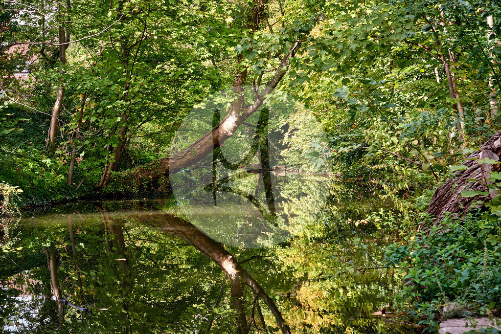 Grünes Wolfenbüttel - Lessingstadt Wolfenbüttel in Niedersachsen, Deutschland | Meurer Shop - Realisiert mit Pictrs.com