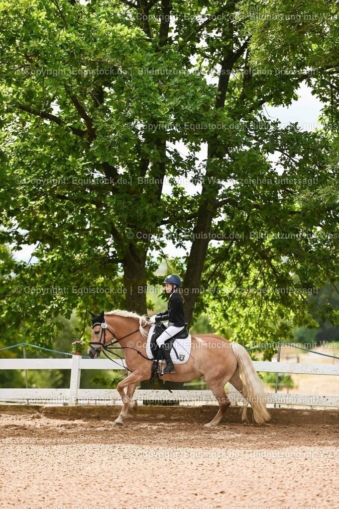 20230716_10-2_Reiter-WB Schritt - Trab - Galopp_0038 | equistock