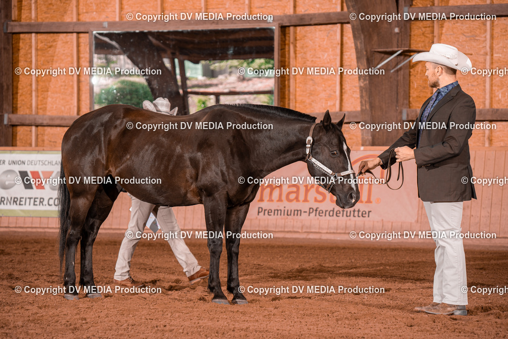 NE200074 | dv-media-shop - Realisiert mit Pictrs.com