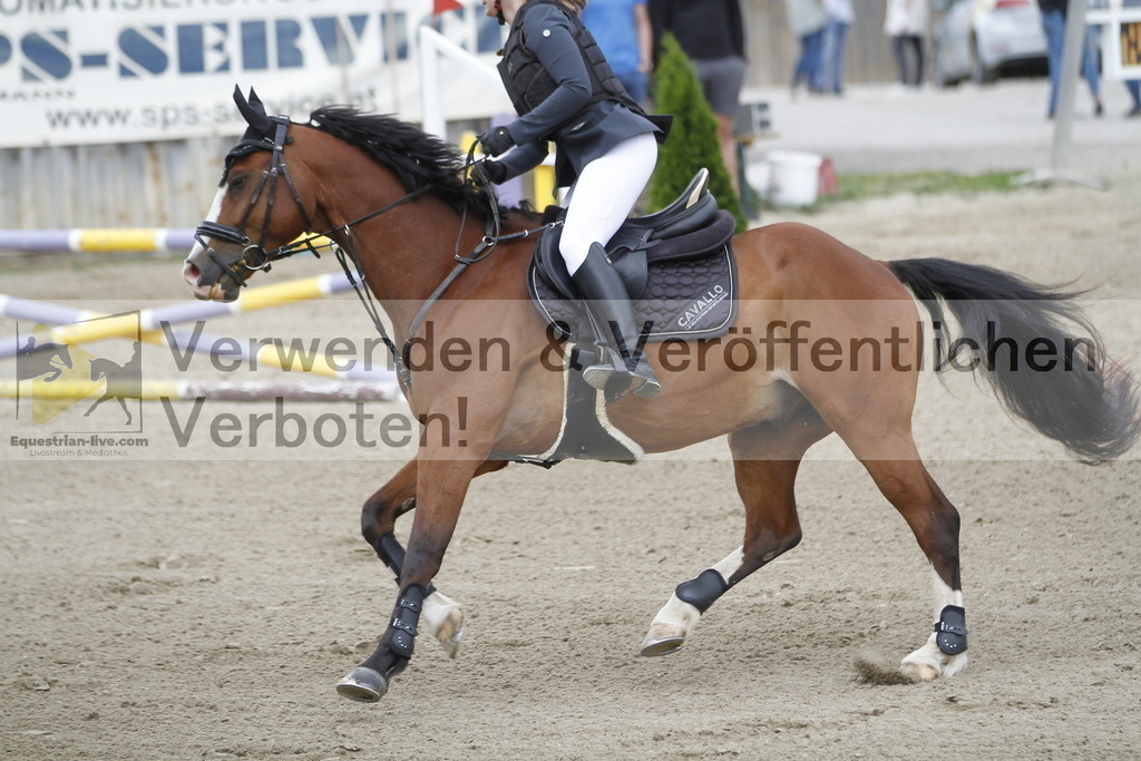 _MG_0913 | equestrian-live-com
