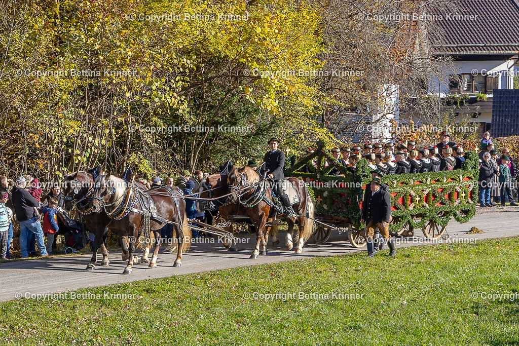 LBT25-277 | foto-bettina-krinner - Realisiert mit Pictrs.com