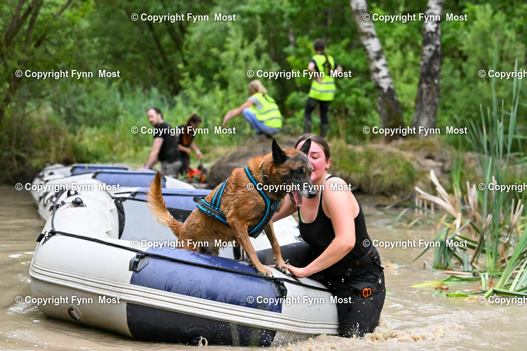 DSC_4356 | Hallo und herzlich Willkommen auf meiner Shop-Seite Fynn Most.

Ich wünsche Dir viel Spaß beim stöbern durch die Bilder, wenn Du Fragen hast oder Bilder vermisst, kannst du mir gerne eine Nachricht schreiben. - Realisiert mit Pictrs.com