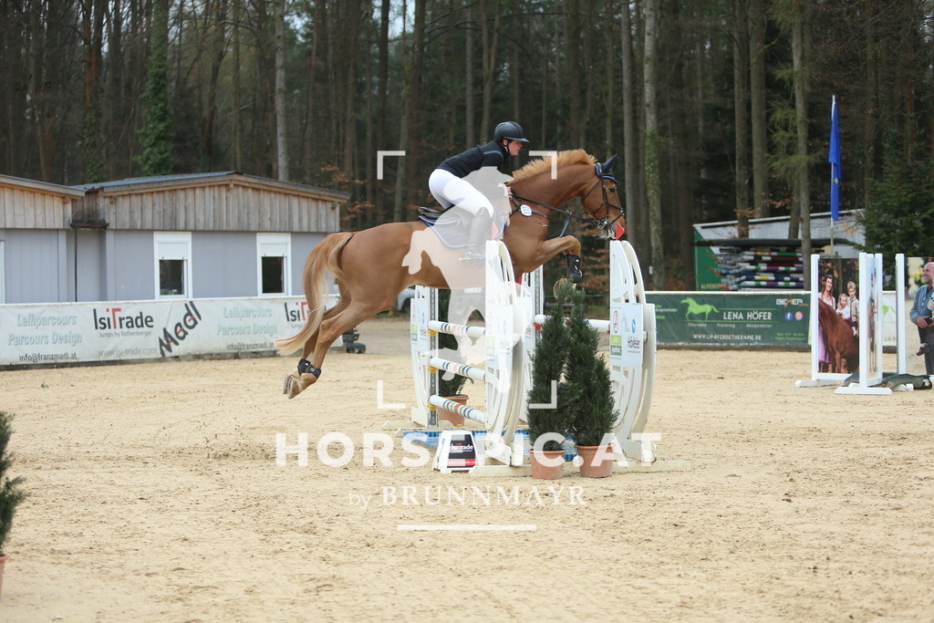 DL2Q7241 | Willkommen bei Brunnmayr - Design & Fotografie – Ihrem Spezialisten für Reitturniere und Pferdeveranstaltungen in Oberösterreich, Salzburg und Bayern! Seit über 17 Jahren sind wir leidenschaftlich dabei.
