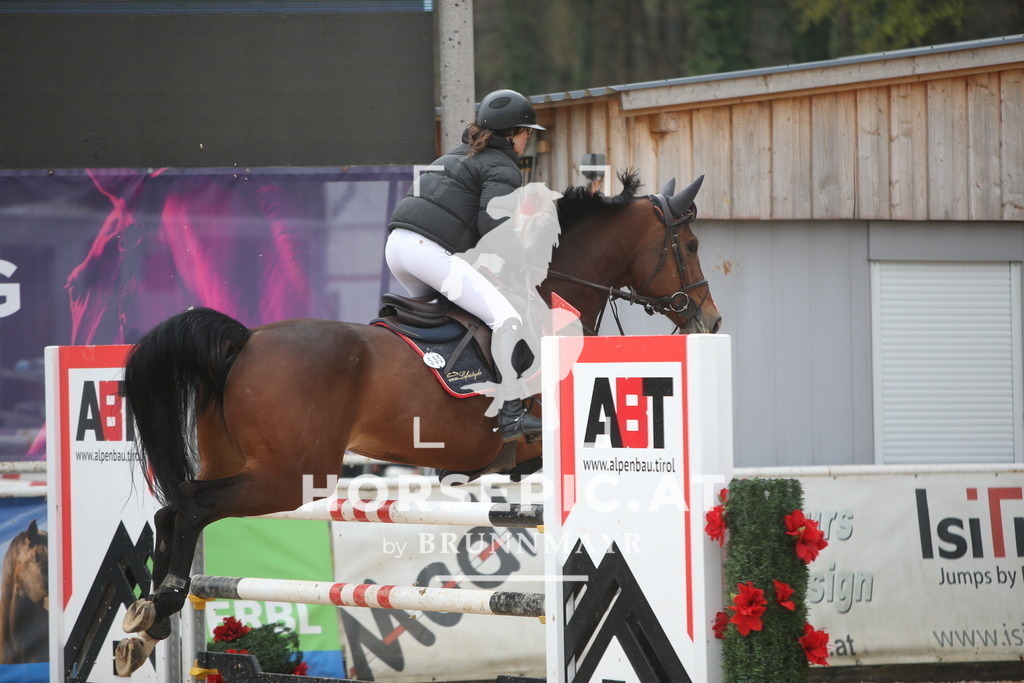 PP013461 | Willkommen bei Brunnmayr - Design & Fotografie – Ihrem Spezialisten für Reitturniere und Pferdeveranstaltungen in Oberösterreich, Salzburg und Bayern! Seit über 17 Jahren sind wir leidenschaftlich dabei.