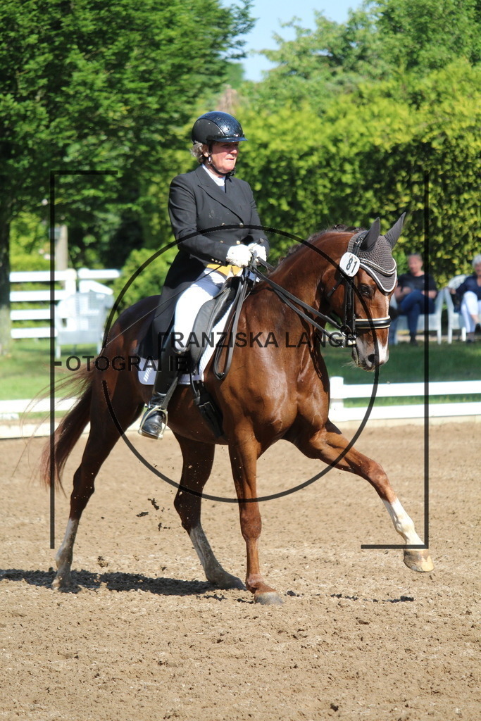 IMG_6562 | franziskalange - Realisiert mit Pictrs.com