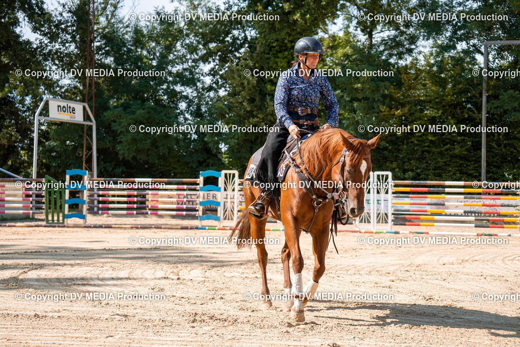 ZH100263 | dv-media-shop - Realisiert mit Pictrs.com