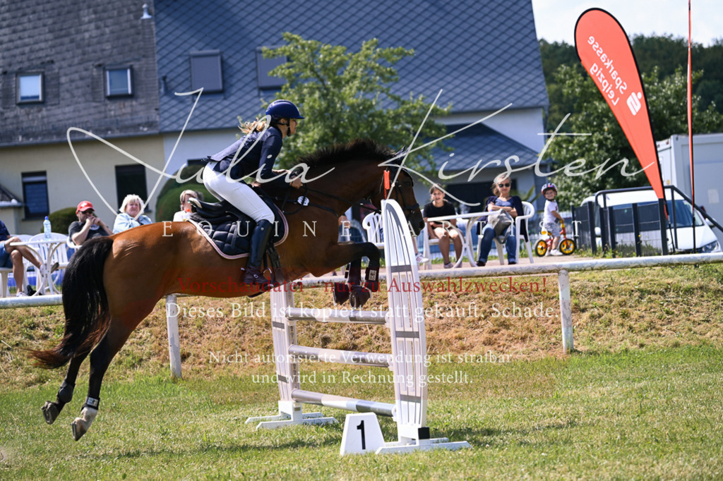DSC_0308 | Pferde- und Turnierfotografie in Westsachsen. Pferdeportraits, Auftragszeichnungen und intuitive Kunst.