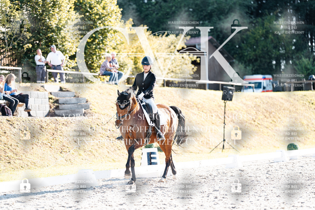 CK906814 | Turnierfotografie Pferdefotografie Trier Rheinland-Pfalz Pferdesport Reitsport Tierfotografie Sportfotografie Pferdevideo Pferdevideografie Equestrianvideography equestrianphotography  - Realisiert mit Pictrs.com