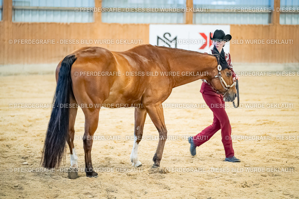 DSC09638 | Pferdegrafie