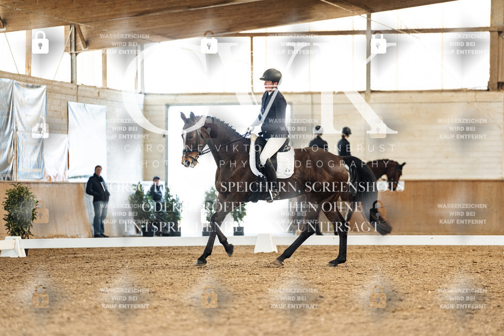 CK909163 | Turnierfotografie Pferdefotografie Trier Rheinland-Pfalz Pferdesport Reitsport Tierfotografie Sportfotografie Pferdevideo Pferdevideografie Equestrianvideography equestrianphotography  - Realisiert mit Pictrs.com