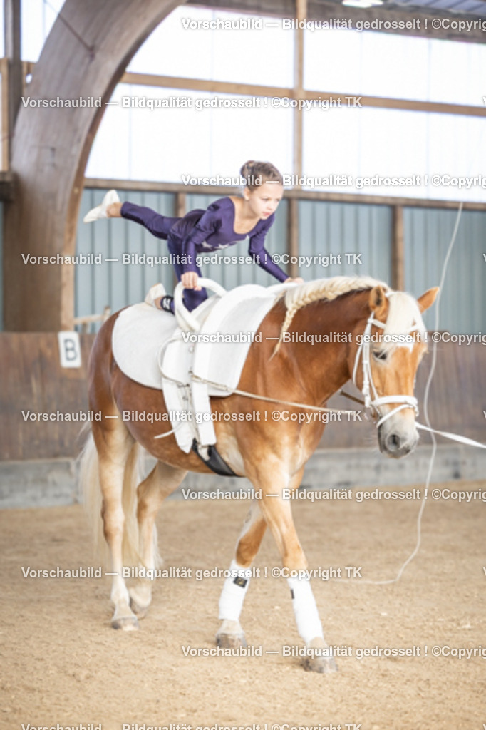 _D5A6746 | Emotionale Pferde- & People-Fotografie rund um Heidelberg, Leimen & Umgebung. Natürliche Fotos von Pferd, Mensch & Familie. Jetzt Termin sichern!
