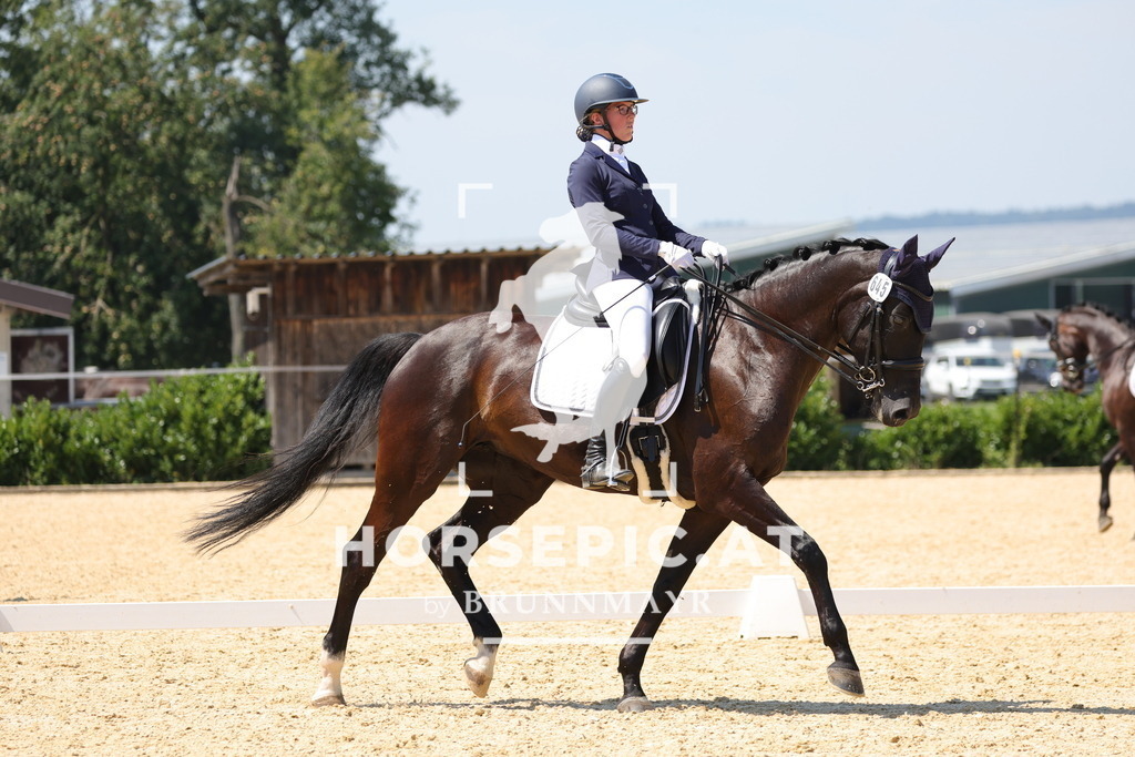 0P6A0865 | Willkommen bei Brunnmayr - Design & Fotografie – Ihrem Spezialisten für Reitturniere und Pferdeveranstaltungen in Oberösterreich, Salzburg und Bayern! Seit über 17 Jahren sind wir leidenschaftlich dabei.