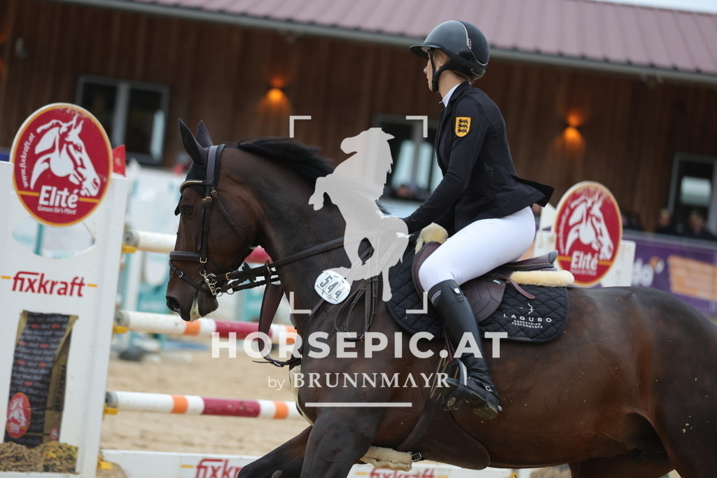 0P6A4978 | Willkommen bei Brunnmayr - Design & Fotografie – Ihrem Spezialisten für Reitturniere und Pferdeveranstaltungen in Oberösterreich, Salzburg und Bayern! Seit über 17 Jahren sind wir leidenschaftlich dabei.