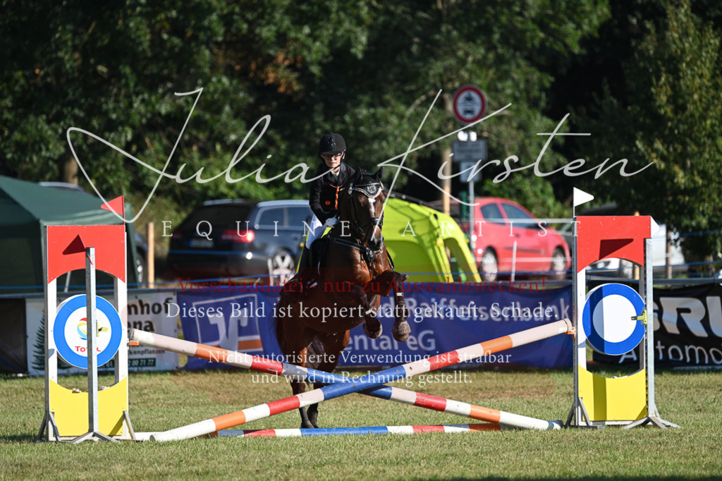 DSC_4752 | Pferde- und Turnierfotografie in Westsachsen. Pferdeportraits, Auftragszeichnungen und intuitive Kunst.