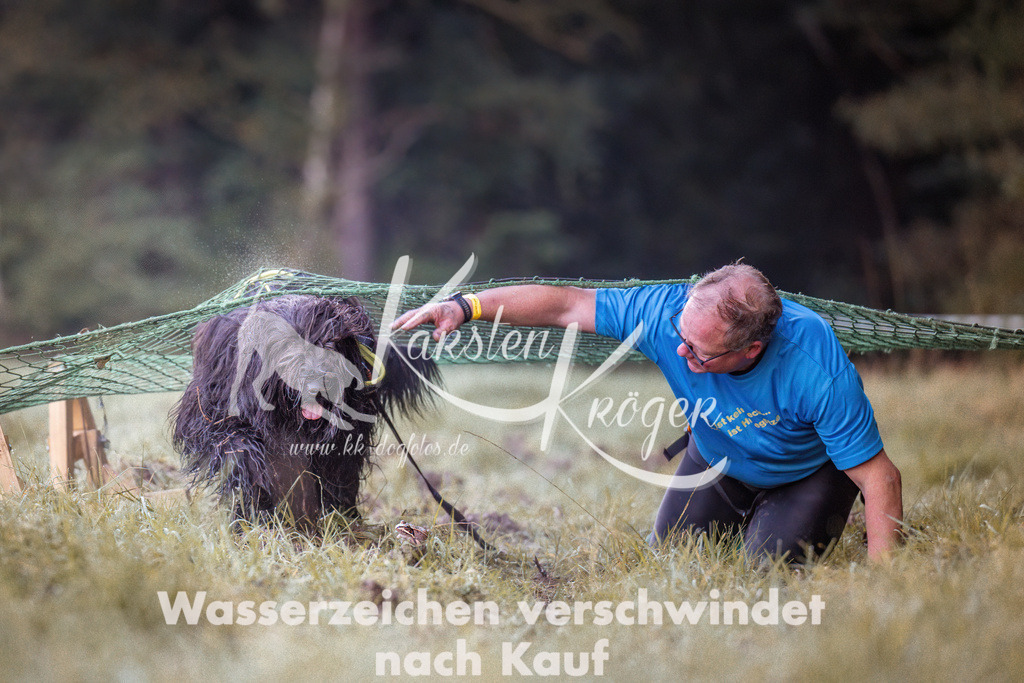 0815_ZZ90068-Bearbeitet | kk-dogfotos