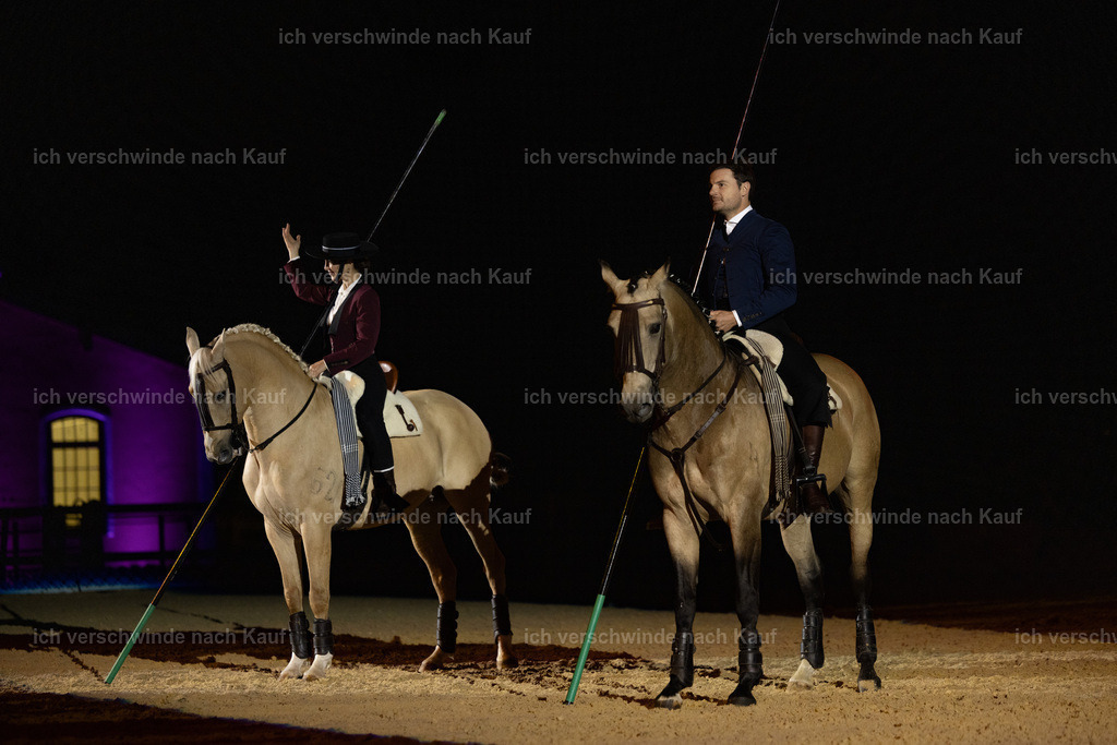 FHClassics-188 | working equitationturnier fotograf videograf stoibphotography marixx film working equitation deutschland reitsport turnierfotografie eventfotografie equestrian events
