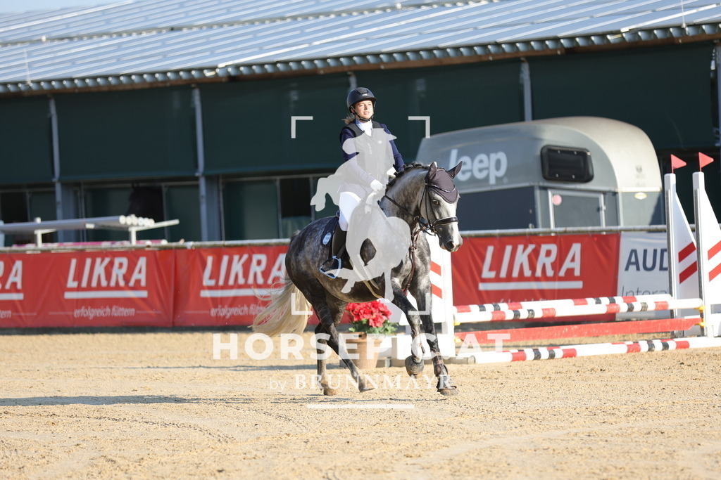 0P6A4105 | Willkommen bei Brunnmayr - Design & Fotografie – Ihrem Spezialisten für Reitturniere und Pferdeveranstaltungen in Oberösterreich, Salzburg und Bayern! Seit über 17 Jahren sind wir leidenschaftlich dabei.