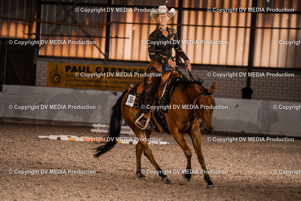 ZH300252 | dv-media-shop - Realisiert mit Pictrs.com