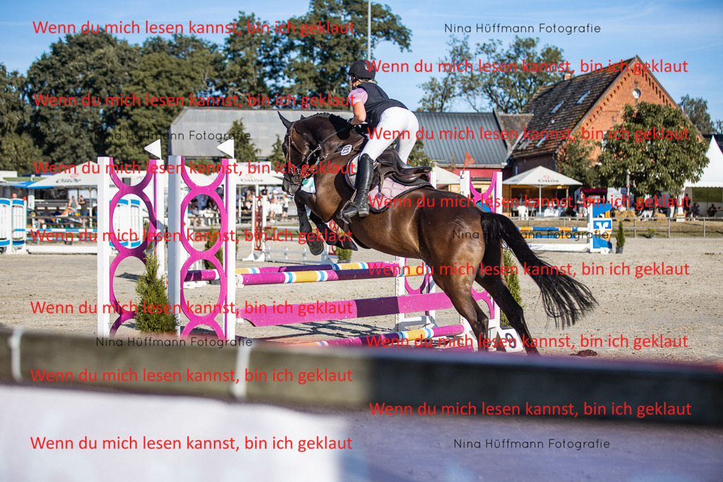 BK1A7731 | Turnierbilder Turnierfotos Nina Hüffmann Turnierfotografie Pferdefotografie Tierzeichnung Haustierzeichnung Pferdezeichnung Hundezeichnung Videograf  - Realisiert mit Pictrs.com