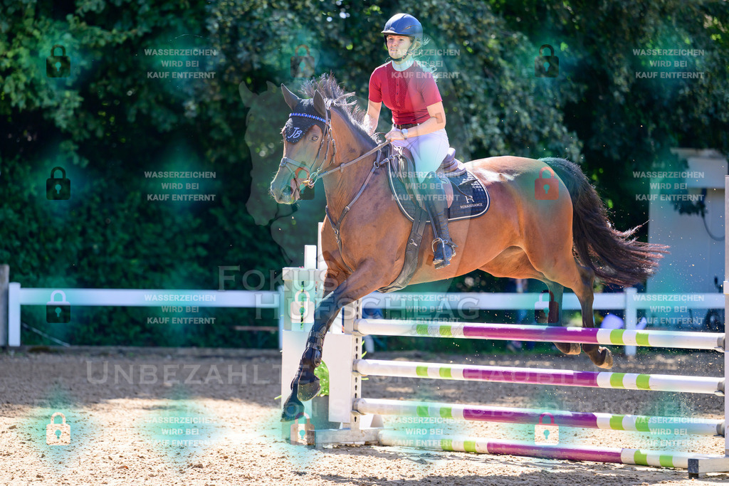 29082026-Giesenbach-Prfg10-0258 | Fokus Hufschlag Fotografie - Realisiert mit Pictrs.com