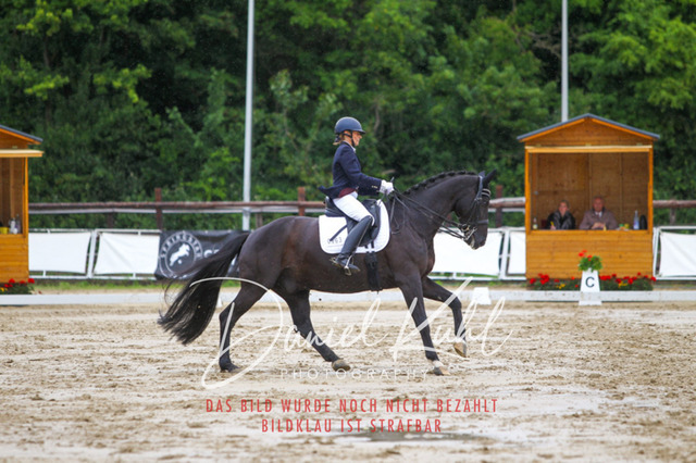 DKP46862 | Turniersportfotografie; Pferdefotografie; Dressurfotografie