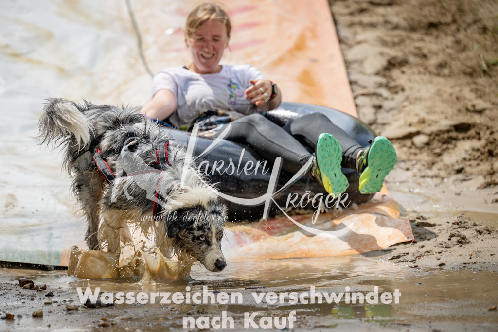 1254_ZZ99524 | kk-dogfotos