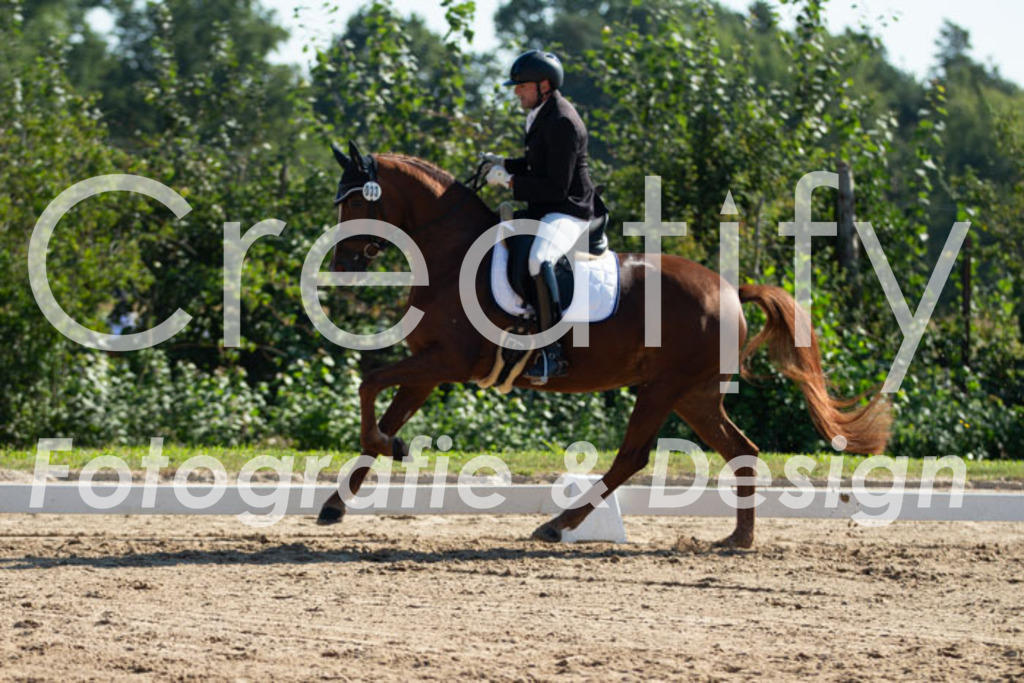 IMG_3200 | Creatify Fotografie