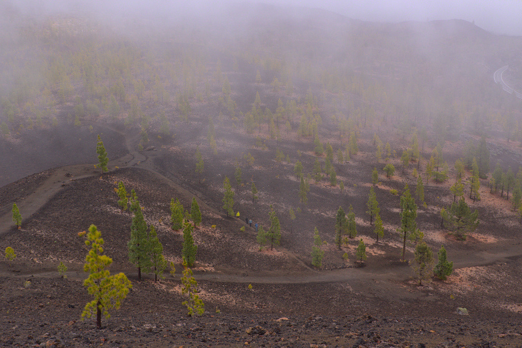 Teneriffa 2025 | Seelentiefe - Bilder die bewegen - Realisiert mit Pictrs.com
