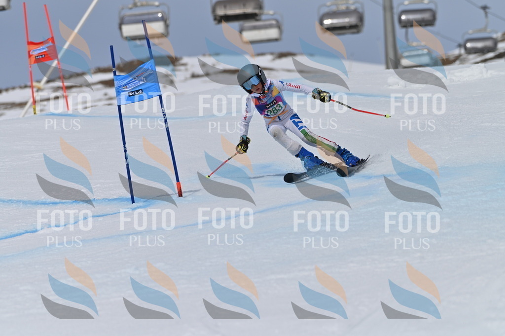 BGV_5633 | holidayphoto