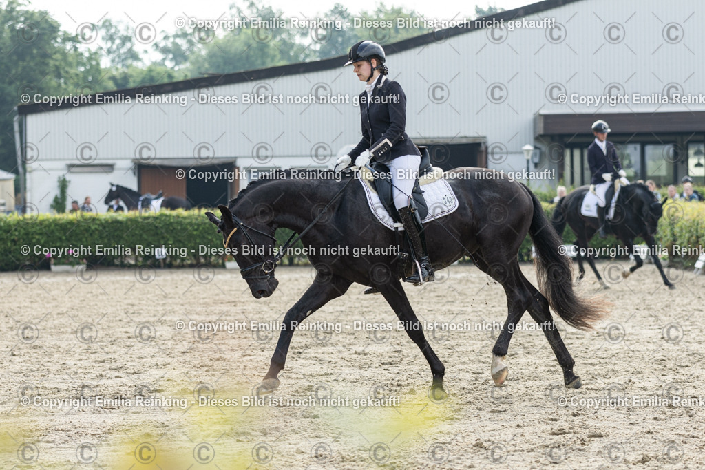 CL5A4011 | Emilia Reinking Fotografie - Realisiert mit Pictrs.com