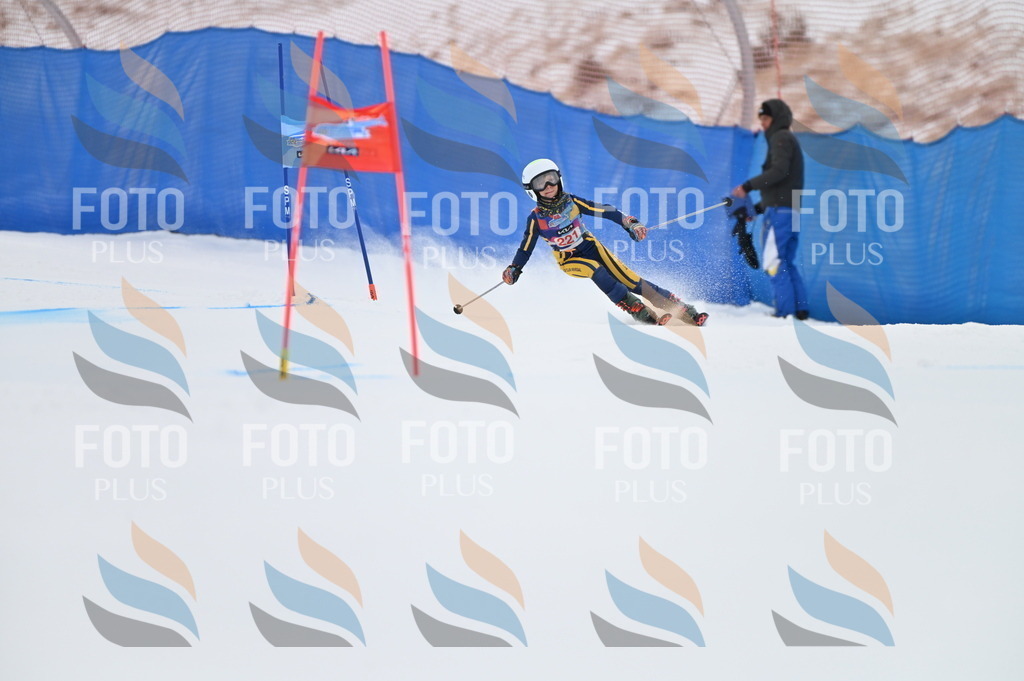 BGV_3063 | holidayphoto