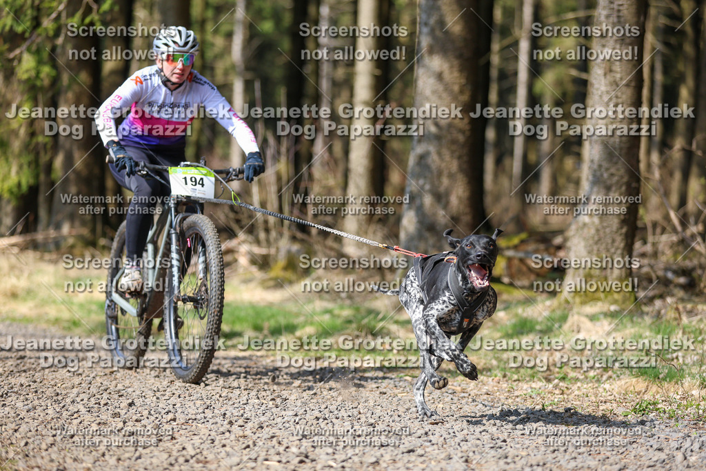 Dog Paparazzi - VCC26-195 | Dog Paparazzi Jeanette Grottendiek Fotografie & Videografie - Realisiert mit Pictrs.com