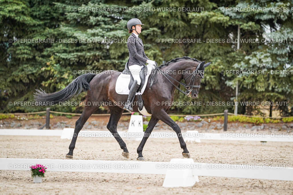 DSC04306 | Pferdegrafie