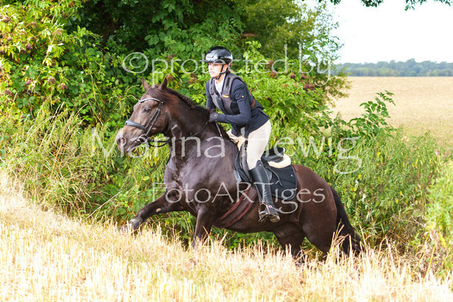 Jagd Knoop 26_MarinaHewigMCH02542 | Fotografie, FotoArt, PferdesportArt, Pferdesportfotografie, Landschaftsfotografie, Reisefotografie, Reise, Pferde - Realisiert mit Pictrs.com