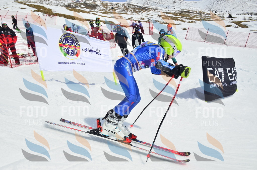 _ELE1938 | holidayphoto