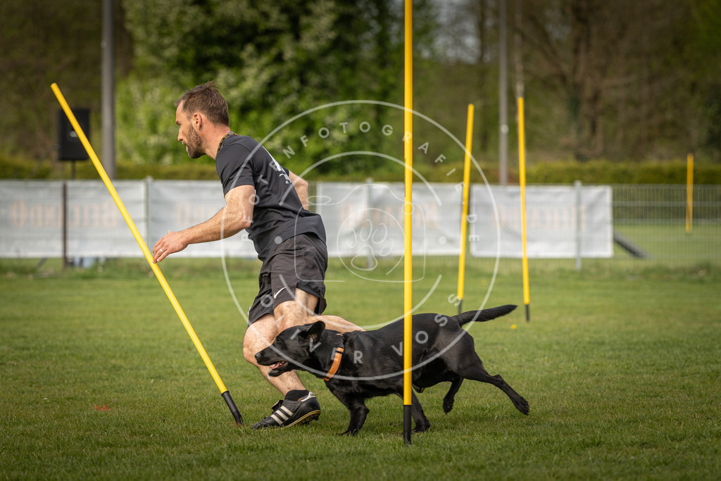 Pfotenfotografie_DV3A5565 | Hundefotografie, Tierfotograf, Pfotenfotografie, Fotoshooting Hund, Hunde Portrait, Hundesport, Hundeportraits, Heideshooting, Hunde, Sportfotograf, Hundefotograf, Turnierhundsport, THS,  - Realisiert mit Pictrs.com