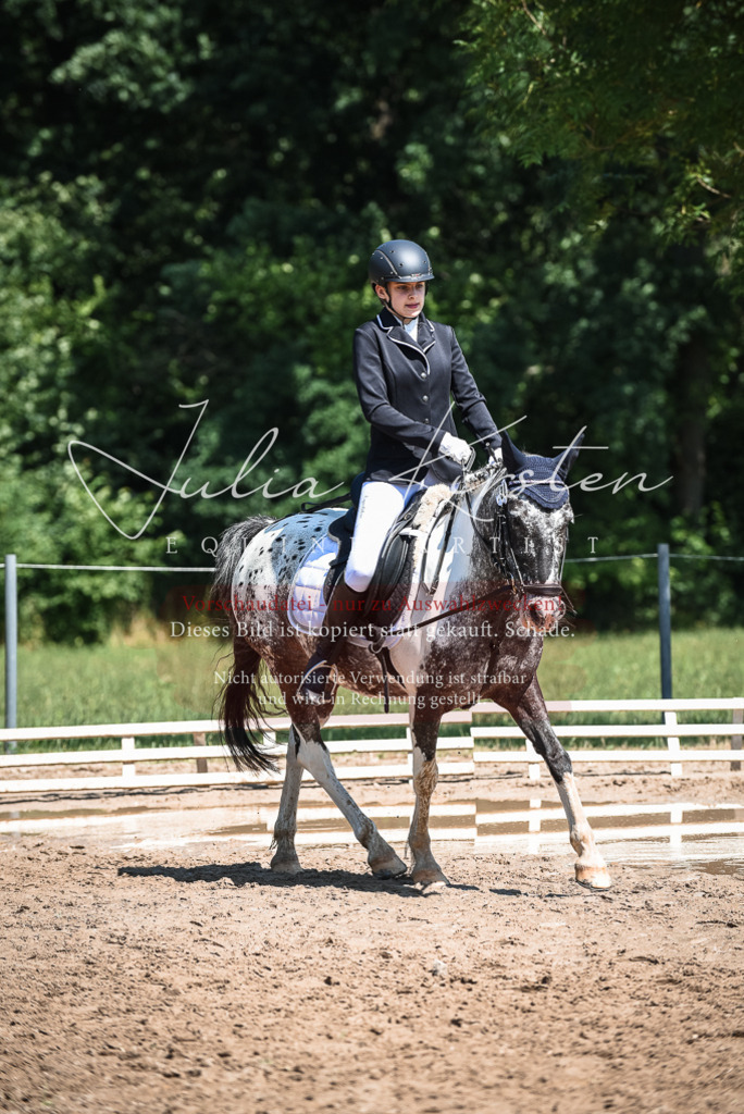 DSC_3220 | Pferde- und Turnierfotografie in Westsachsen. Pferdeportraits, Auftragszeichnungen und intuitive Kunst.