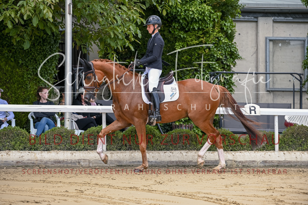 Schugtsche-Aluta25-48.Reitpferfdeprf.-131 | Schugtsche Fotografie - Realisiert mit Pictrs.com