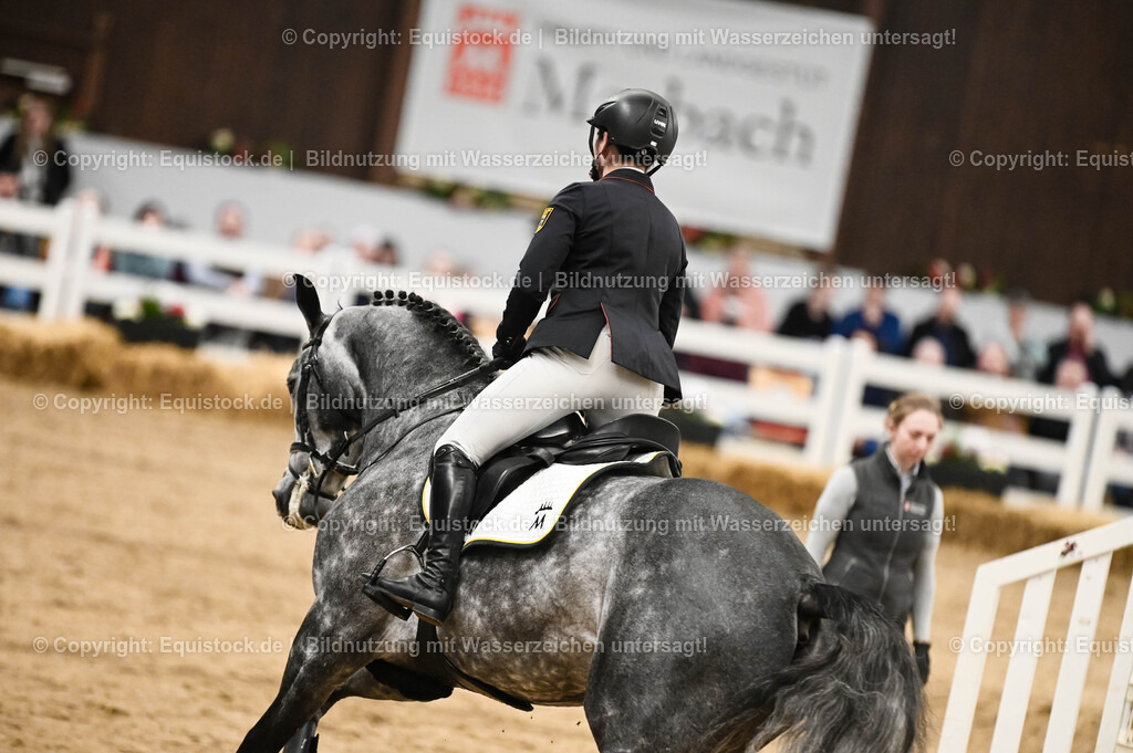 20260307_Hengstvorstellung-Marbach_0107 | equistock