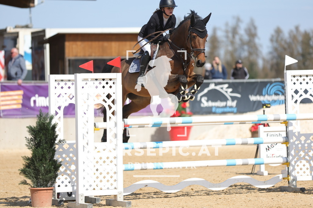 0P6A1437 | Willkommen bei Brunnmayr - Design & Fotografie – Ihrem Spezialisten für Reitturniere und Pferdeveranstaltungen in Oberösterreich, Salzburg und Bayern! Seit über 17 Jahren sind wir leidenschaftlich dabei.