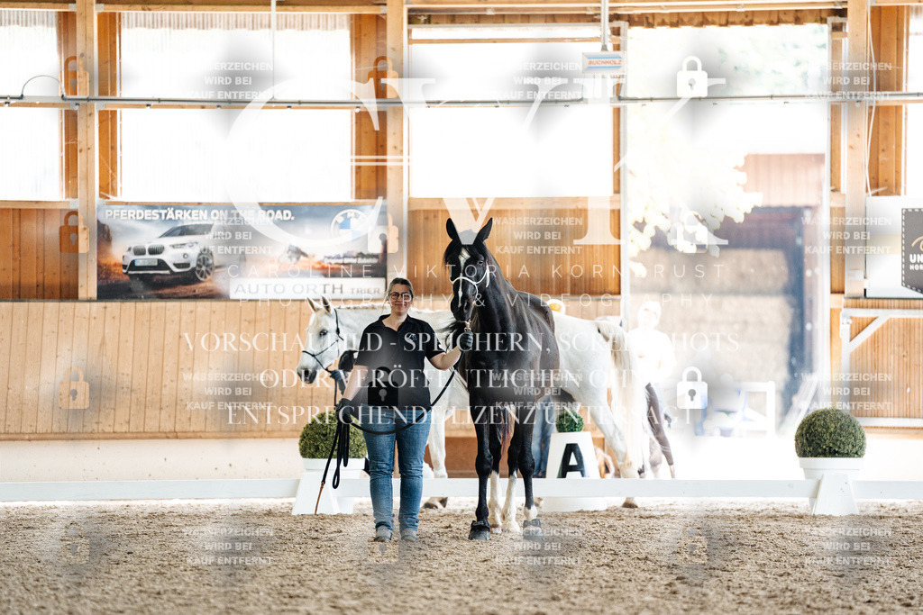 CK907977 | Turnierfotografie Pferdefotografie Trier Rheinland-Pfalz Pferdesport Reitsport Tierfotografie Sportfotografie Pferdevideo Pferdevideografie Equestrianvideography equestrianphotography  - Realisiert mit Pictrs.com