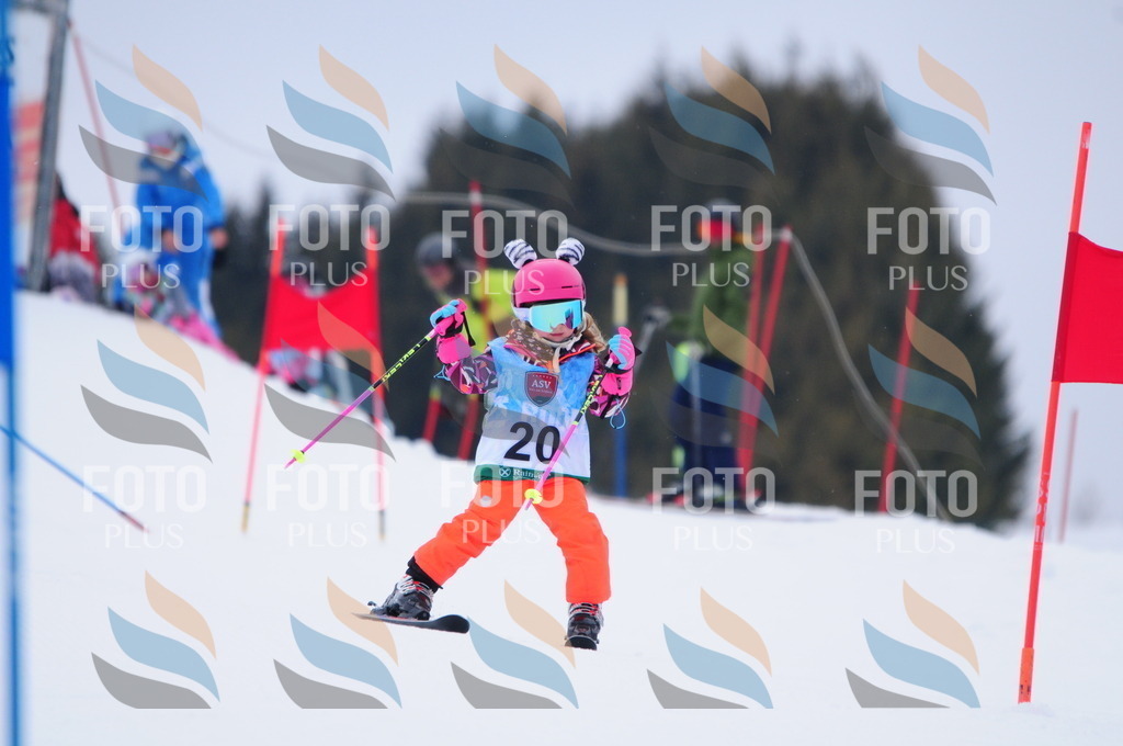 A3401 | holidayphoto