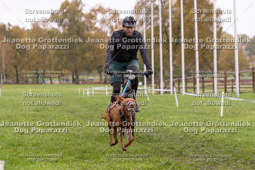 Dog Paparazzi - SD CaniX Championship 2025-952 | Dog Paparazzi Jeanette Grottendiek Fotografie & Videografie - Realisiert mit Pictrs.com