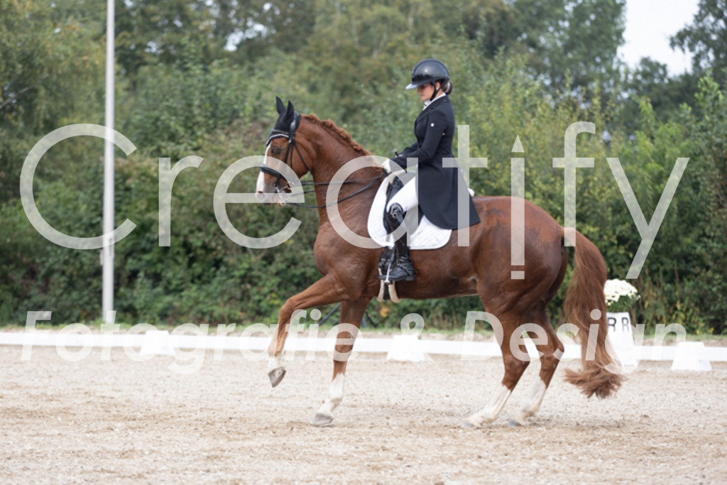 IMG_4768 | Creatify Fotografie