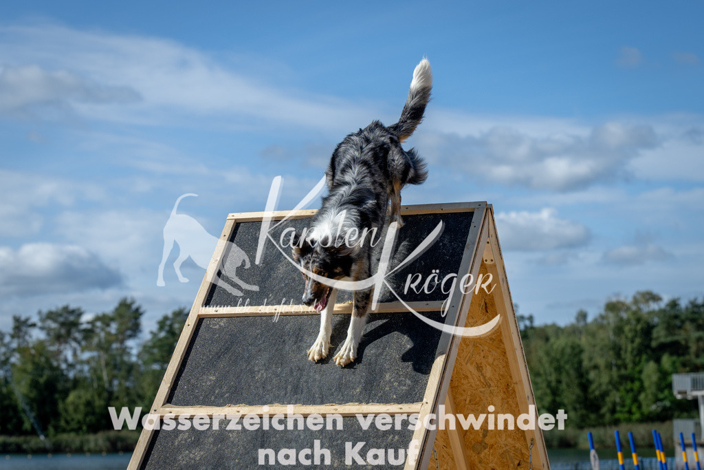 1316_ZZ90096 | kk-dogfotos