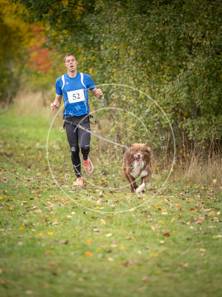 Pfotenfotografie_DV3A2503 | Hundefotografie, Tierfotograf, Pfotenfotografie, Fotoshooting Hund, Hunde Portrait, Hundesport, Hundeportraits, Heideshooting, Hunde, Sportfotograf, Hundefotograf, Turnierhundsport, THS,  - Realisiert mit Pictrs.com